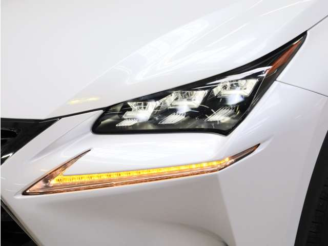 NX200t バージョンL