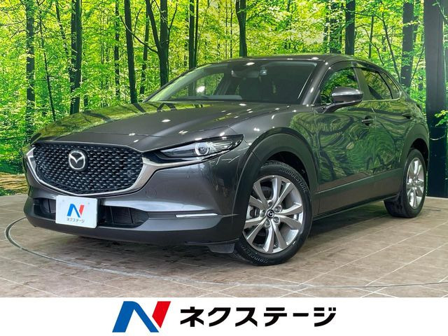 CX-302.0 20S