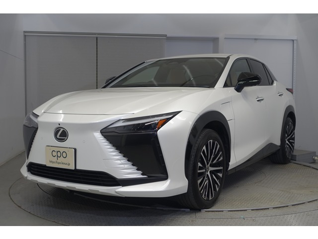 RZ300e バージョンL