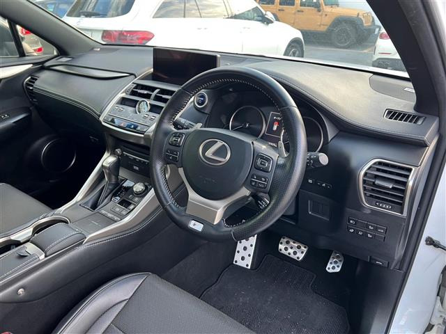 NX300h Fスポーツ