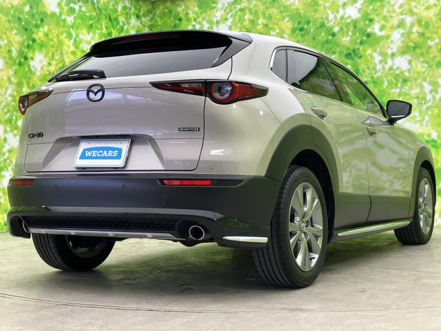 CX-301.8 XD Lパッケージ