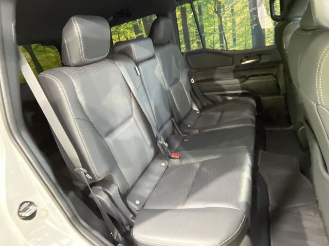 �㕔���Ȃ��C�ɂȂ�悤�ȃL�Y�E�����ւ��蓙�A�傫�ȃ_���[�W�͂Ȃ��A�ǍD�ȏ�Ԃł��B