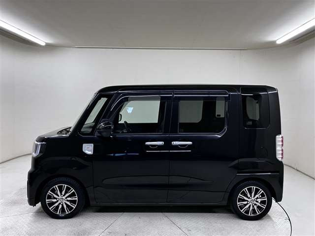 ピクシスメガGターボ SAIII