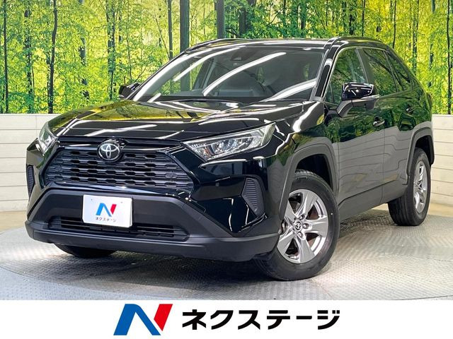 RAV42.0 X