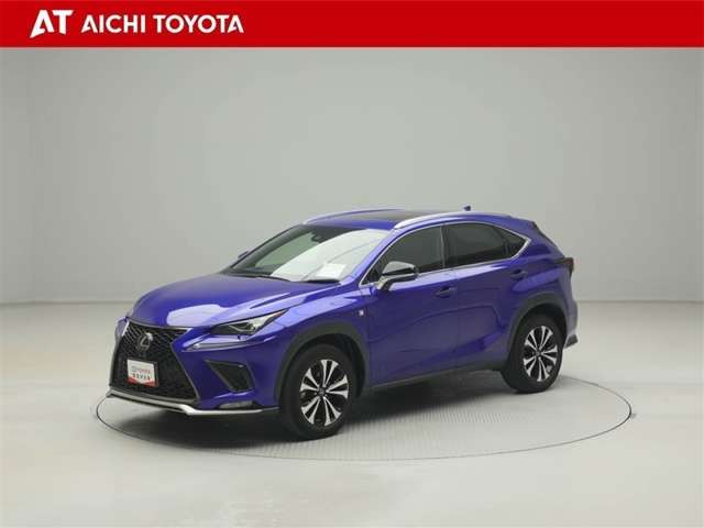 NX300 Fスポーツ 4WD