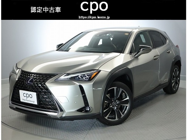 UX250h バージョンC