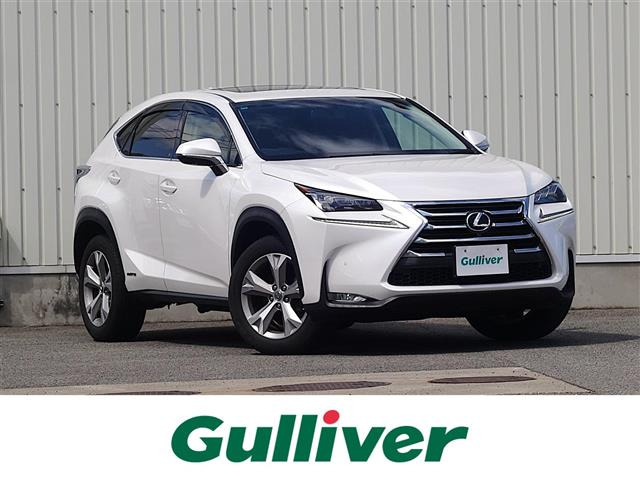 NX300h バージョンL