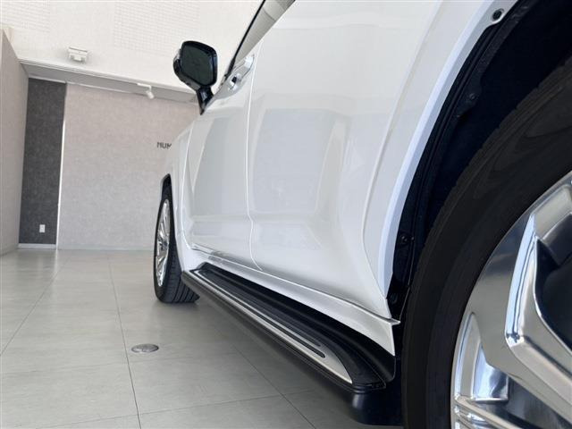 ���f���X�^�G�A��(�T�C�h)