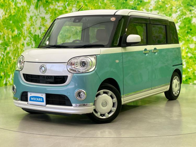 ムーヴキャンバスG メイクアップ SAII