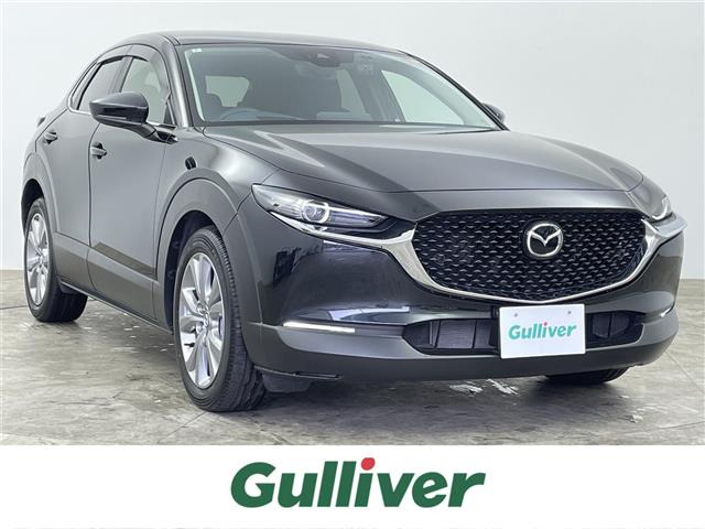 CX-302.0 20S
