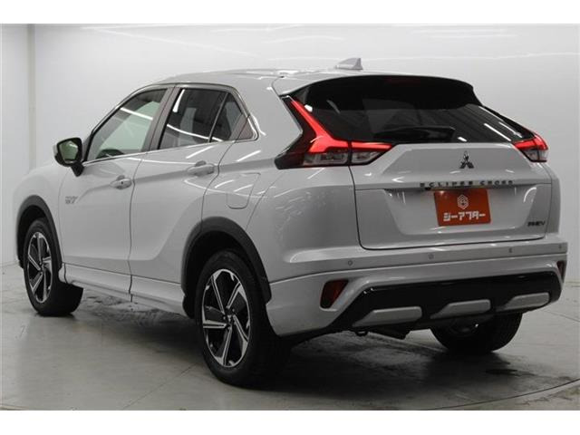 ���Ǝҗl�ւ̔̔��͂��f�肳���Ă��������܂��B �Ԍ������ԗ��̏ꍇ�́A�Ԍ����擾�������x�������z�ŕ\�����Ă���܂��B