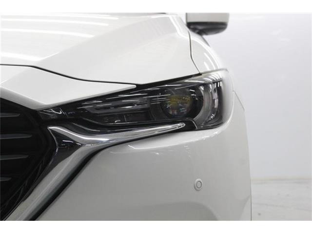 ���Ǝҗl�ւ̔̔��͂��f�肳���Ă��������܂��B �Ԍ������ԗ��̏ꍇ�́A�Ԍ����擾�������x�������z�ŕ\�����Ă���܂��B