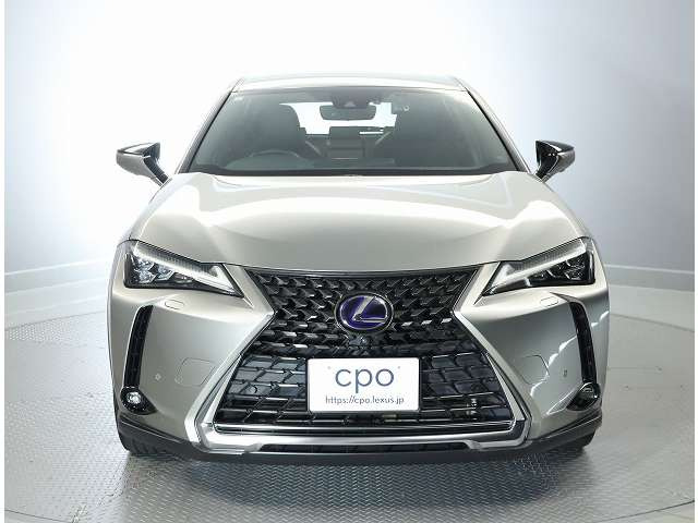 UX250h バージョンC