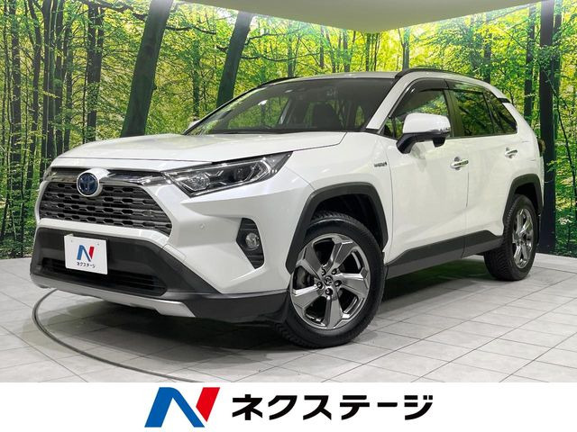 RAV42.5 ハイブリッド G E-Four 4WD