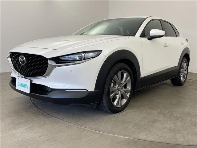 CX-301.8 XD Lパッケージ