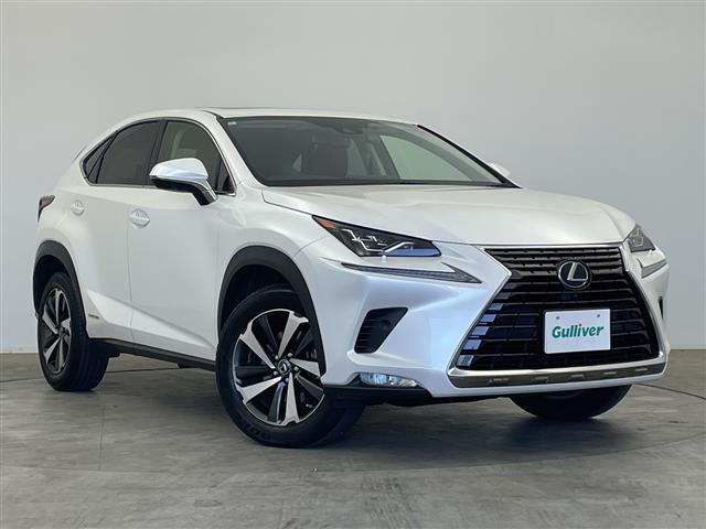 NX300h バージョンL