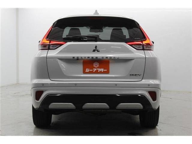 ���Ǝҗl�ւ̔̔��͂��f�肳���Ă��������܂��B �Ԍ������ԗ��̏ꍇ�́A�Ԍ����擾�������x�������z�ŕ\�����Ă���܂��B