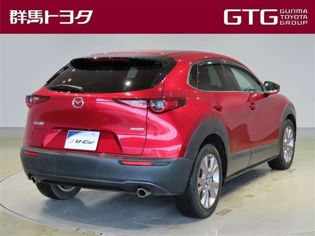 CX-302.0 20S