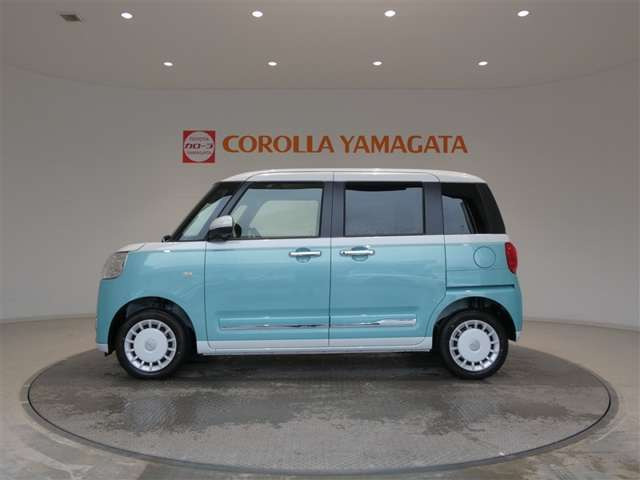 ムーヴキャンバス