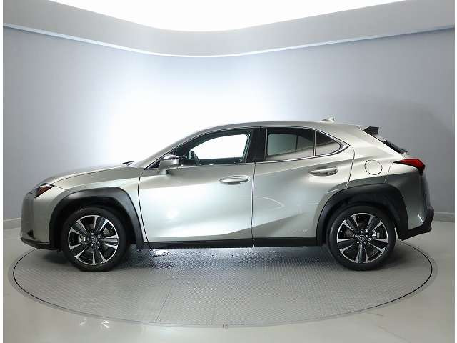 UX250h バージョンC