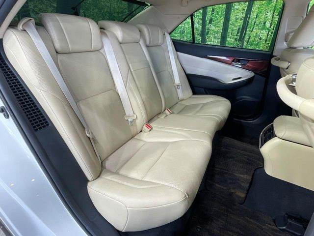 �㕔���Ȃ��C�ɂȂ�悤�ȃL�Y�E�����ւ��蓙�A�傫�ȃ_���[�W�͂Ȃ��A�ǍD�ȏ�Ԃł��B