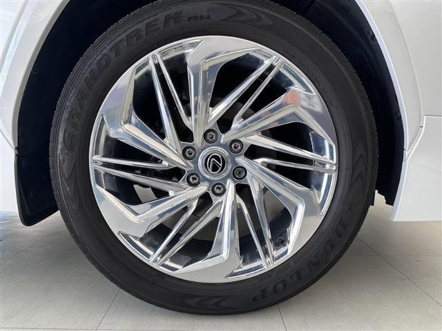 ����E�����������Ă���܂��B���C�y�ɂ����k���������B