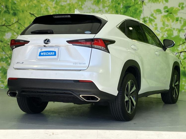 NX300 Iパッケージ