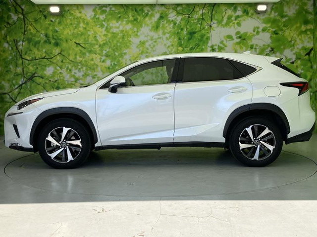 NX300 Iパッケージ