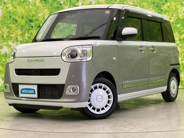 ムーヴキャンバスストライプス G