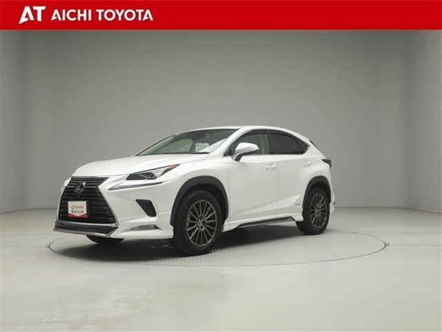 NX300h バージョンL 4WD