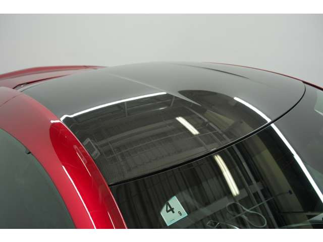 �������������郋�[�t�B�ォ�猩�����̎��F������i�Ɋ����܂��B