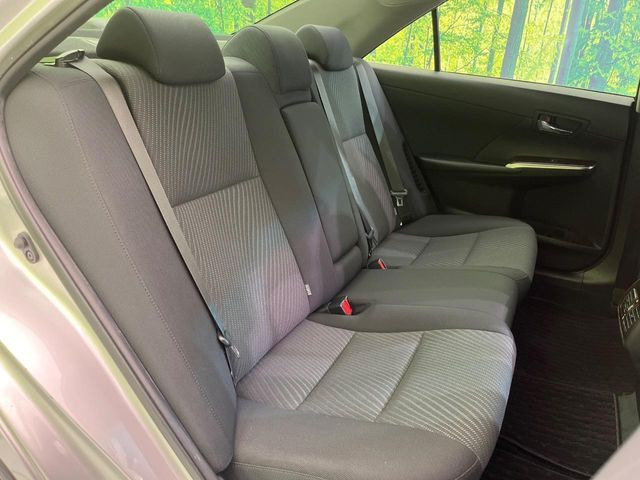 �㕔���Ȃ��C�ɂȂ�悤�ȃL�Y�E�����ւ��蓙�A�傫�ȃ_���[�W�͂Ȃ��A�ǍD�ȏ�Ԃł��B