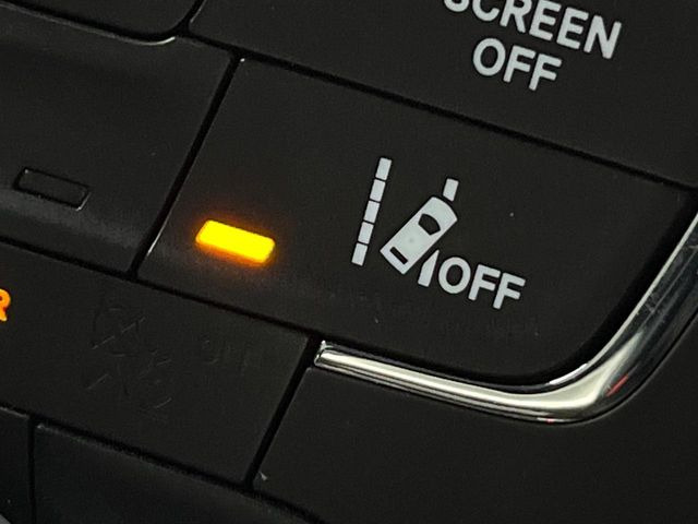 �����[���L�[�s���O�A�V�X�g:���s�Ԑ��̈�E�������Ă����@�\�B���s���ɁA�N���}���Ԑ�����O��Ă��邱�Ƃ��J���������m����ƁA�X�e�A�����O����U�������ăh���C�o�[�Ɍx�����܂��B