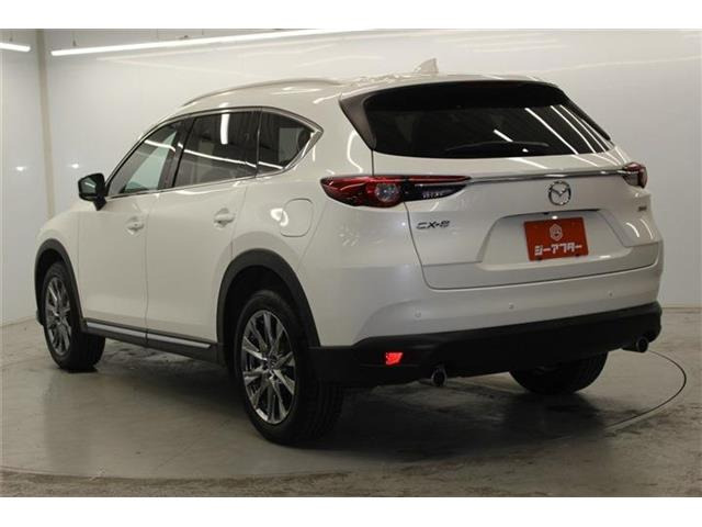 ���Ǝҗl�ւ̔̔��͂��f�肳���Ă��������܂��B �Ԍ������ԗ��̏ꍇ�́A�Ԍ����擾�������x�������z�ŕ\�����Ă���܂��B