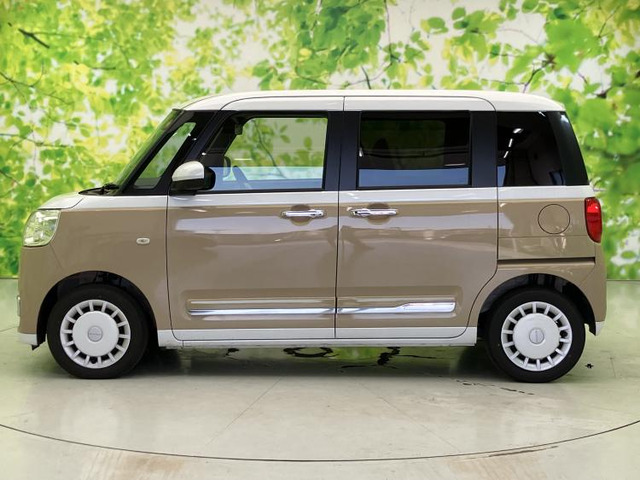 ムーヴキャンバスストライプス G