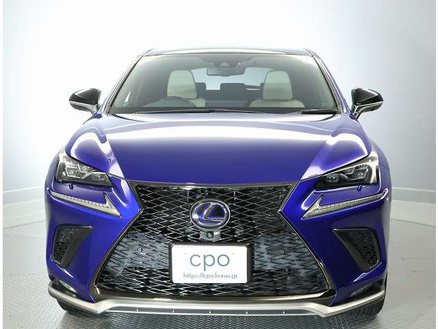 NX300h Fスポーツ