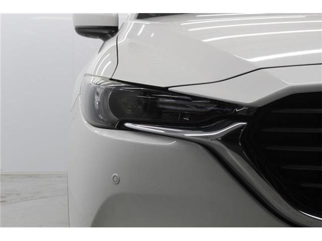 ���Ǝҗl�ւ̔̔��͂��f�肳���Ă��������܂��B �Ԍ������ԗ��̏ꍇ�́A�Ԍ����擾�������x�������z�ŕ\�����Ă���܂��B