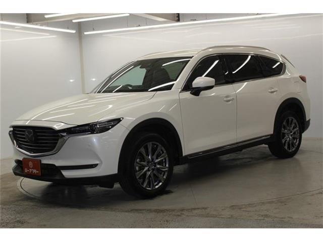 ���Ǝҗl�ւ̔̔��͂��f�肳���Ă��������܂��B �Ԍ������ԗ��̏ꍇ�́A�Ԍ����擾�������x�������z�ŕ\�����Ă���܂��B