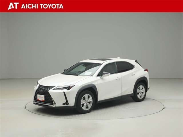 UX250h バージョンC