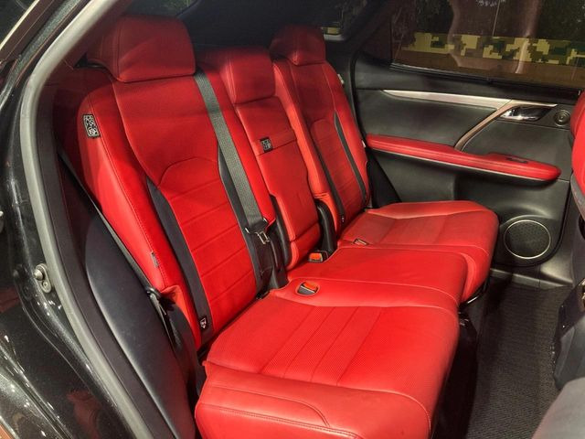 �㕔���Ȃ��C�ɂȂ�悤�ȃL�Y�E�����ւ��蓙�A�傫�ȃ_���[�W�͂Ȃ��A�ǍD�ȏ�Ԃł��B