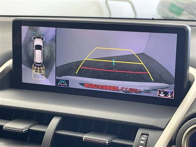 NX300h バージョンL