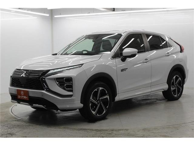 ���Ǝҗl�ւ̔̔��͂��f�肳���Ă��������܂��B �Ԍ������ԗ��̏ꍇ�́A�Ԍ����擾�������x�������z�ŕ\�����Ă���܂��B