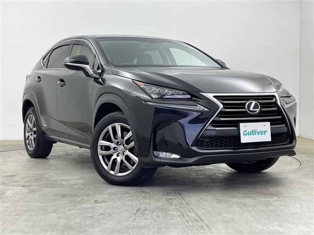 NX300h Iパッケージ