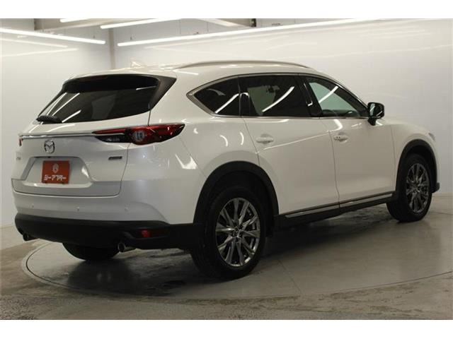 ���Ǝҗl�ւ̔̔��͂��f�肳���Ă��������܂��B �Ԍ������ԗ��̏ꍇ�́A�Ԍ����擾�������x�������z�ŕ\�����Ă���܂��B