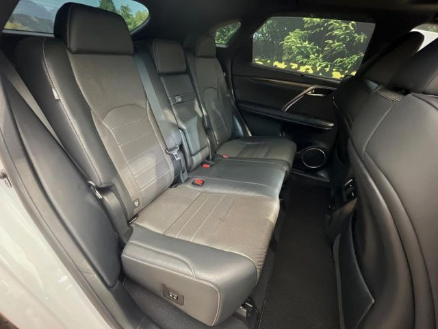 �㕔���Ȃ��C�ɂȂ�悤�ȃL�Y�E�����ւ��蓙�A�傫�ȃ_���[�W�͂Ȃ��A�ǍD�ȏ�Ԃł��B