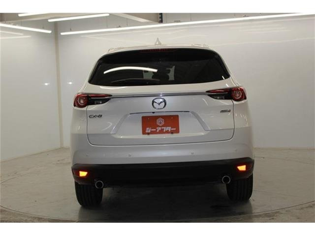 ���Ǝҗl�ւ̔̔��͂��f�肳���Ă��������܂��B �Ԍ������ԗ��̏ꍇ�́A�Ԍ����擾�������x�������z�ŕ\�����Ă���܂��B