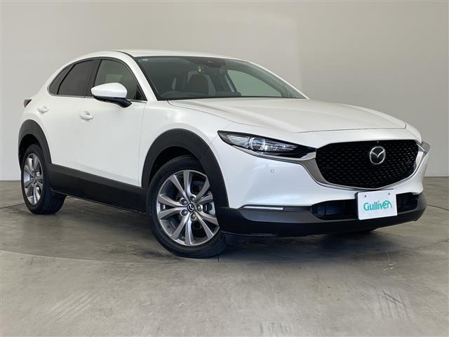 CX-301.8 XD Lパッケージ