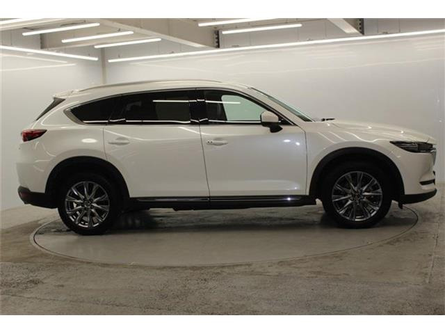 ���Ǝҗl�ւ̔̔��͂��f�肳���Ă��������܂��B �Ԍ������ԗ��̏ꍇ�́A�Ԍ����擾�������x�������z�ŕ\�����Ă���܂��B