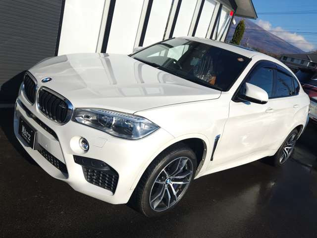 X6 M