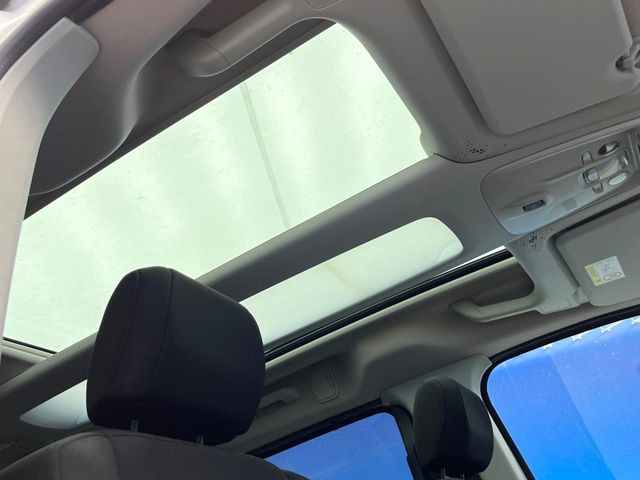 ���p�m���}�~�b�N�K���X���[�t:�唗�͂̃p�m���}���[�t�́A�㕔���Ȃɂ܂ő����Ă���A�J���I�ȋ�Ԃ����y���݂��������܂��B